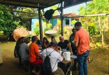 Curso de Horta Orgânica e Medicinal é concluída em Fernando de Noronha