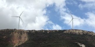 UFPE alerta que fazendas de energia eólica, prejudicam a conservação da Caatinga
