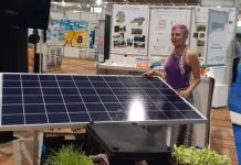 Caatinga tem potencial de faturar R$ 10 bi com energia e alimentos