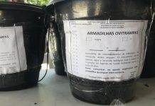 Prefeitura de Recife implanta Brigada de Vigilância Ambiental, no Presídio Frei Damião de Bozanno