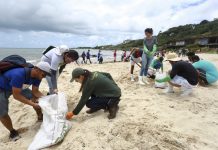 Governo do Estado já recolheu 489 toneladas de óleo no litoral pernambucano