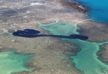 Petrobras diz que manchas de óleo no litoral do Nordeste, foi extraído de três campos na Venezuela