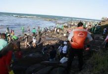 Balanço dos trabalhos no litoral de Pernambuco, realizado nesta 4ª feira(30), aponta que já foram coletadas 1.546,17 toneladas de óleo, em 47 praias e oito rios atingidos no Estado