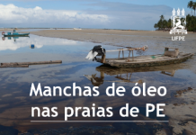 UFPE tem pontos de arrecadação para receber doações de materiais para limpeza do óleo nas praias