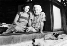 Escritores Zélia Gattai e Jorge Amado são homenageados, em exposição na Caixa Cultural Recife