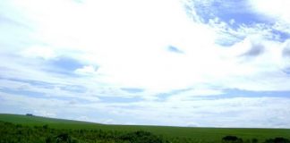 Em Busca do Desconhecido, é o artigo de Paulo Eduardo de Barros Fonseca