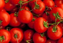 O Tomate e sua Relação na Prevenção do Câncer de Próstata