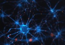 Os desafios ao simular sistemas biológicos microscópicos