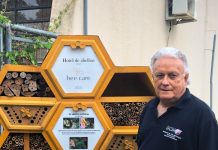 Liberação de agrotóxicos pelo governo, ameaça polinizadores, que podem matar as abelhas, inseto crucial para o equilíbrio dos ecossistemas, alerta pesquisador