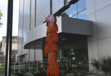 Sistema Fecomércio/Sesc/Senac-PE, lança a graduação em Gestão Comercial