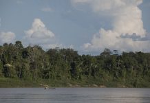 Capes e Natura lançam prêmio para estimular a pesquisa científica