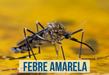 V GERES informa sobre vacinação contra Febre Amarela em Garanhuns, e região
