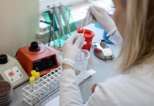 Mortes por Covid-19 sobem para 11, e casos confirmados chegam a 904