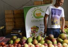 COVID-19: Feiras livres, sacolões e lojas varejistas, produtores e agricultores, devem ter cuidados redobrados com a higiene, reforça governo
