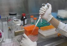 Fiocruz divulga possível eficácia de medicamento contra covid-19