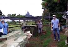 Técnicos do IPA iniciam os trabalhos emergenciais em Fernando de Noronha