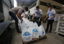 Compra local: Governo de Pernambuco inicia distribuição de alimentos para pescadores e marisqueiras