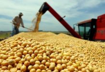 Santa Catarina bate recorde na exportação de soja nos quatro primeiros meses de 2020