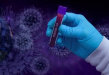 Pesquisadores do campus de São Vicente e startup filha da Unesp, desenvolvem protótipo para apoiar o diagnóstico do Covid-19