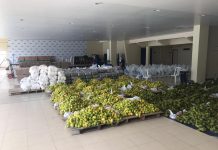 Programa Compra Local: 30 municípios de Pernambuco já receberam kits alimentares comprados a 530 famílias de pequenos agricultores e produtores rurais
