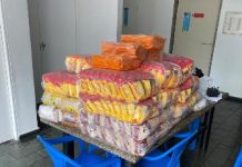 Grupo de estudantes da Faculdade de Direito de Recife, da UFPE, se mobiliza para levar alimentos a quem precisa