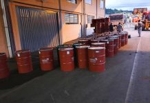 Potencial da apicultura no oeste de SC chama atenção de empresas