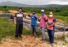 Em meio à pandemia, despesca pioneira de camarão marinho é realizada em Belo Jardim/PE