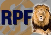 Confira dicas para fazer a declaração do casal no IRPF 2020, se em conjunto ou em separado
