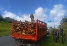 Operação Fumaça Zero: CPRH inicia a segunda etapa de fiscalização à venda de madeira nativa e montagem de fogueira