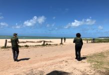 CPRH embarga obra na praia de Maracaípe, no litoral Sul de PE