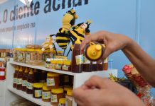 Planejamento e pesquisa ajudam microempresa a ter crédito na pandemia