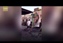 Dois vídeos, dois mundos, duas artes, é o artigo de Oscar D’Ambrósio