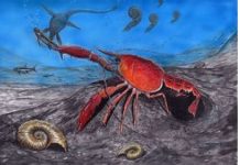 Identificado novo crustáceo que viveu há cerca de 75 milhões de anos