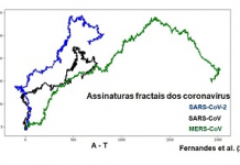 Com metodologia inovadora, pesquisadores da UFPE analisam genoma e espalhamento do coronavírus