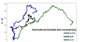 Com metodologia inovadora, pesquisadores da UFPE analisam genoma e espalhamento do coronavírus