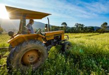 Governo de Santa Catarina investe R$ 36,9 milhões em apoio ao setor agropecuário