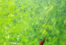 Obra “O Voo do Uirapuru”, de José Benedito Ferreira, o Zé, é o artigo de Oscar D’Ambrosio