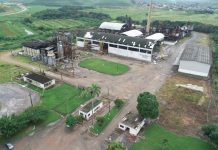 Antiga Usina Estreliana, em Ribeirão, inicia moagem após resultado de decisão do TJPE