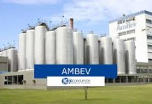 Ambev abre 100 vagas para trabalho remoto