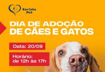 Shopping Costa Dourada realiza dia de doação de Cães e gatos, neste domingo(20)