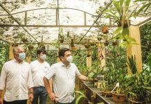 Jardim Botânico do Recife ganha nova Arena Arbor e Jardim de Biomas