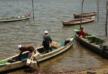 Pescado livre de óleo: iniciativa do Governo de Pernambuco, AD Diper e IABS, busca ajudar pescadores e marisqueiras de Itapissuma