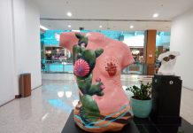 Shopping Tacaruna recebe a Exposição “Inspiração Pink”, com foco no câncer de mama