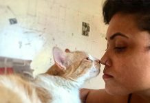 Como superar a morte de um pet? Está cada vez mais frequente, que os tutores busquem o serviço de cremação, para garantir uma despedida digna aos bichinhos