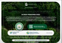 Sicredi Pernambucred lança Comitê de Sustentabilidade nesta terça-feira (10/11)