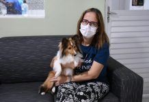 Novembro azul: cachorros também podem ter câncer de próstata