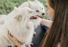 Com alta de pets, condomínios adaptam estrutura de lazer para os animais e seus donos