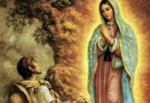 Petrolina realiza Festa de Nossa Senhora de Guadalupe, de quarta-feira (9) a sábado (12)
