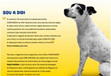 No ‘Dezembro Verde’, Cedan Rações faz campanha contra o abandono de animais