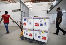 Novas doses de vacinas que chegaram a Pernambuco, serão destinadas a profissionais de saúde e idosos acima de 85 anos